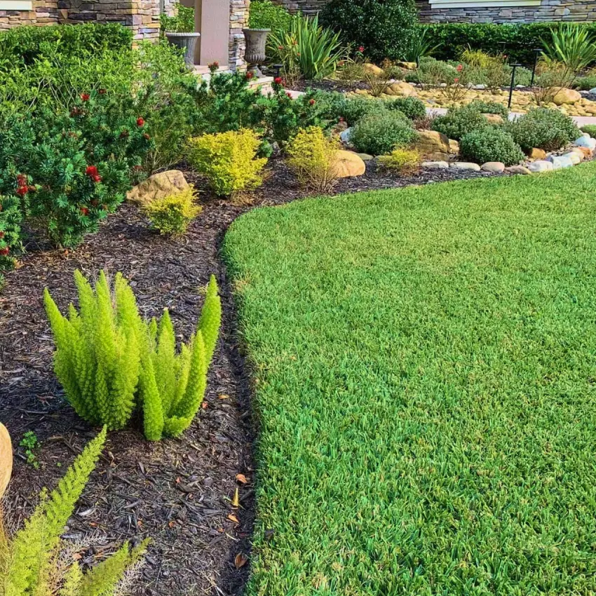 Home Excavation Contractor in Land O’ Lakes, FL 2