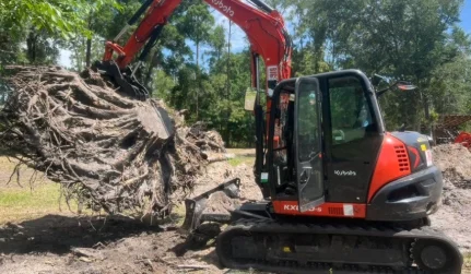 Stump Grinding & Removal