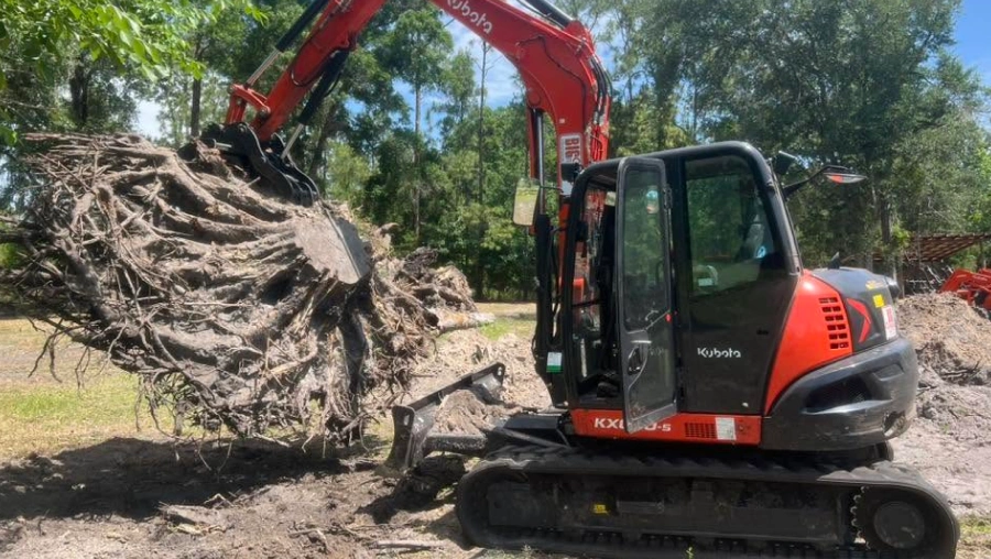 Stump Grinding & Removal Stump Grinding & Removal